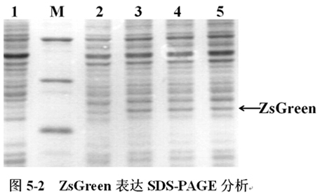732b8d93-9c35-4f39-bb49-02c74b58183a 6008集团官方网站(中国)股份有限公司