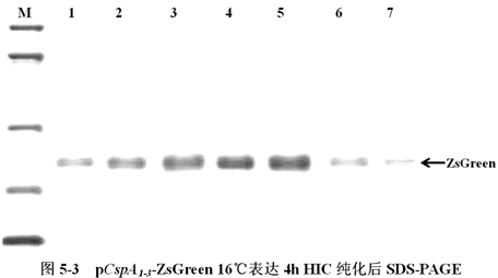 a40519cf-f397-496a-8aa8-d13b6654a000 6008集团官方网站(中国)股份有限公司