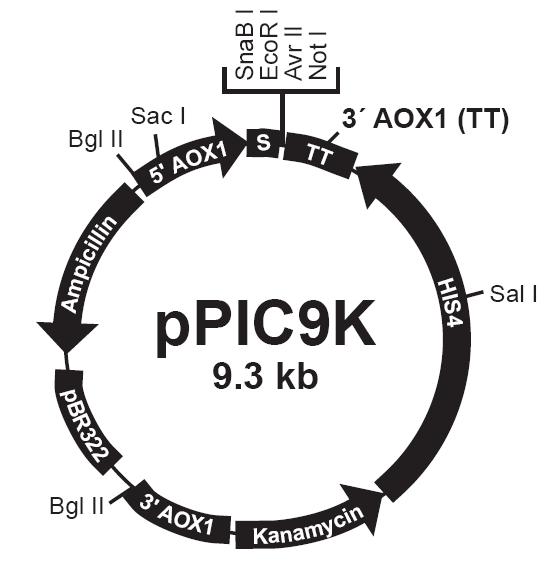 1996a145-e6a8-4938-bd5b-95e6083be836 6008集团官方网站(中国)股份有限公司