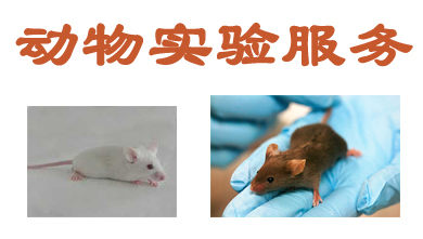 动物尝试服务 动物尝试服务