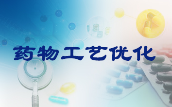 造药工艺优化 造药工艺优化