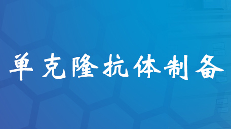 单克隆抗体造备