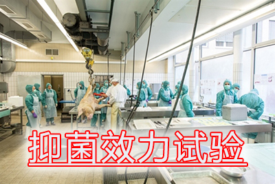 抑菌效力试验 抑菌效力试验