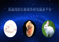 6008集团的生殖毒性研究效劳平台