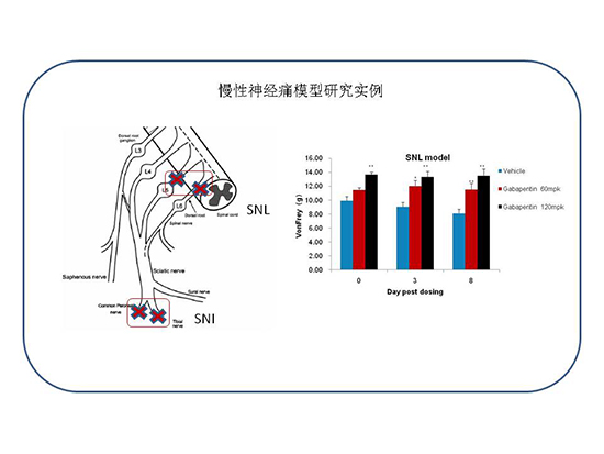 5921888d-85c3-4b75-97b1-3d192a7d5f61 6008集团官方网站(中国)股份有限公司