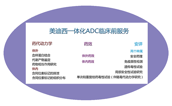 6008集团一体化ADC临床前服务 6008集团一体化ADC临床前服务