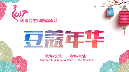 20166008集团年会