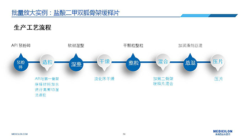 6008集团 调换参比造剂 李国栋博士演讲PPT 6008集团 调换参比造剂 李国栋博士演讲PPT