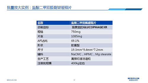 6008集团 调换参比造剂 李国栋博士演讲PPT 6008集团 调换参比造剂 李国栋博士演讲PPT