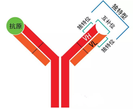 c32eb065-09bf-4fe3-8518-70af52c13090 6008集团官方网站(中国)股份有限公司