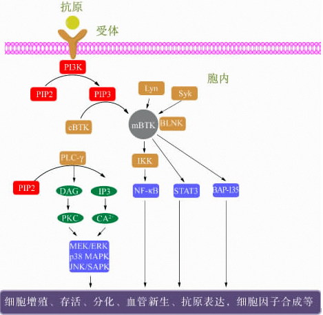 b6a0e2b1-e879-4009-a527-fb551225105e 6008集团官方网站(中国)股份有限公司