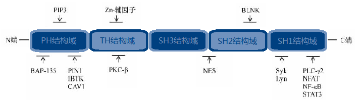fa510795-4199-4f34-81ae-d7b76ba1af21 6008集团官方网站(中国)股份有限公司