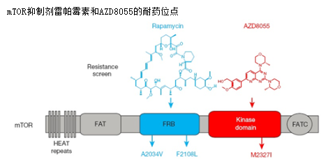 17a688c7-3a0c-497e-847e-a0eb53b3774e 6008集团官方网站(中国)股份有限公司