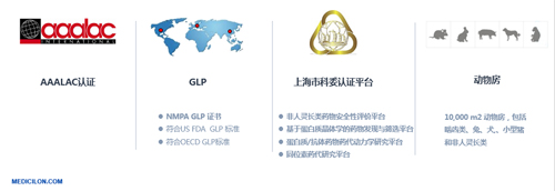 6008集团生物医药 临床前钻研