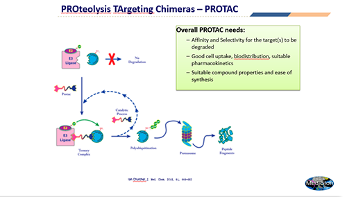 194b61a9-06e6-49b8-b2a3-87c8f42dd2ab 神奇的幼分子药物技术-PROTAC