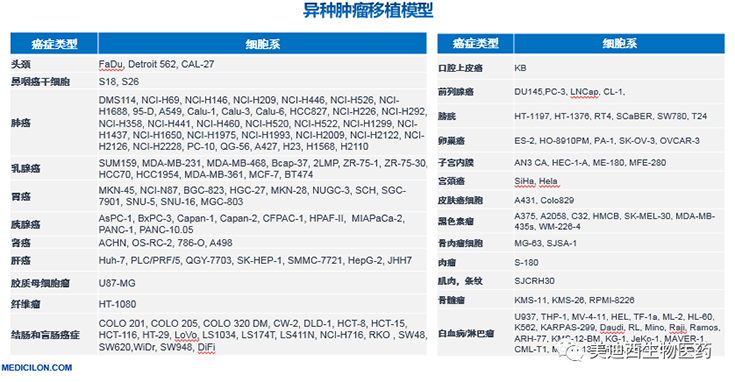 6008集团异种肿瘤移植模型清单