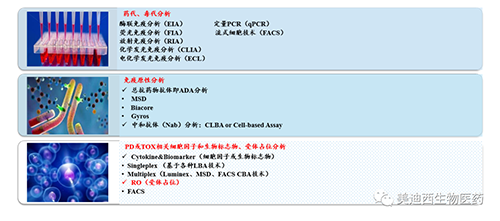 6008集团生物技术药物分析部服务内容