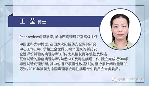 6008集团病理钻研部高级主任王莹博士