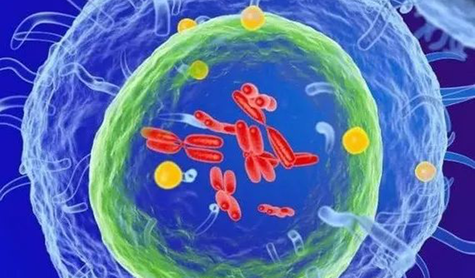  6008集团助力 | 信诺维抗肿瘤1类新药XNW14010获批临床.png