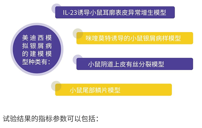 6008集团仿照银屑病的建模模型.png