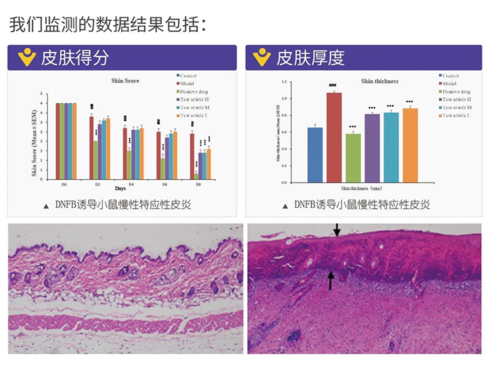 6008集团监测的数据了局.png