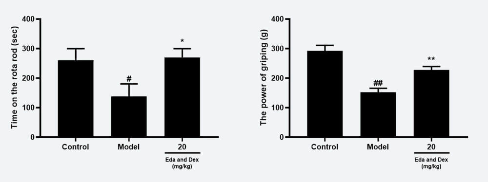 神经功效药效学考察：C 转棒滞留时间；；；；D 抓握力（mean±SEM）.jpg