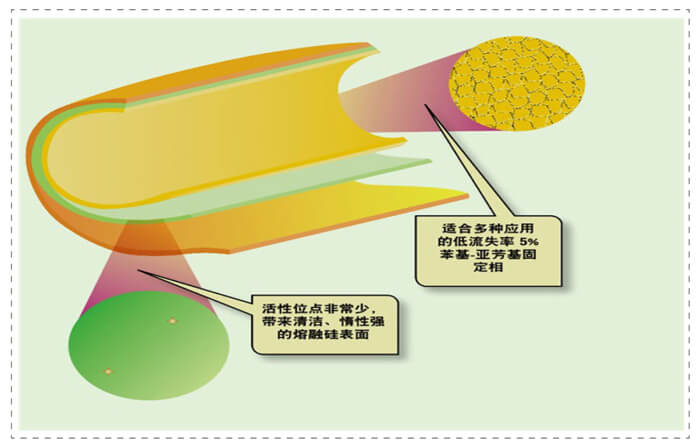图3-管壁涂渍开口柱内表表未齐全屏蔽的活性位点.jpg 图3-管壁涂渍开口柱内表表未齐全屏蔽的活性位点.jpg