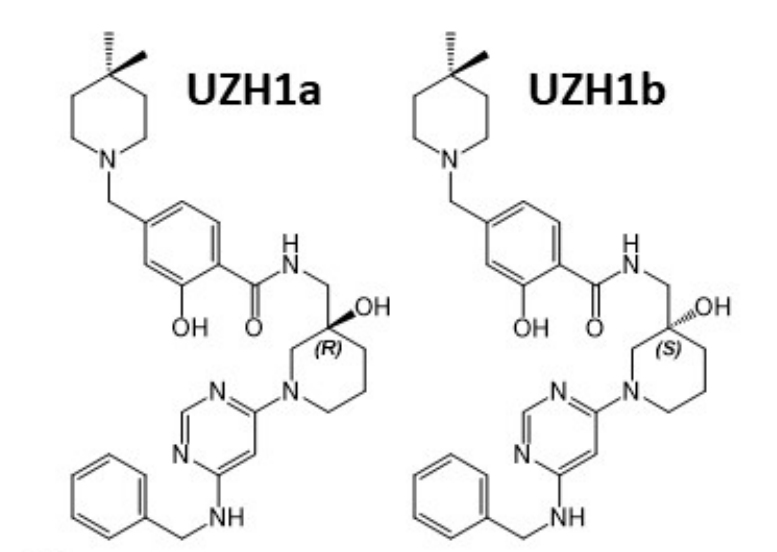 钻研人员汇报了一种拥有细胞渗入性的选择性METTL3纳摩尔抑造剂UZH1a，作者感激6008集团合成了UZH1a和UZH1b