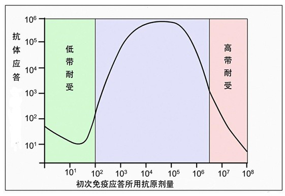 Figure-2-免疫应答产生抗体依赖于初次免疫应答所用抗原剂量.jpg Figure-2-免疫应答产生抗体依赖于初次免疫应答所用抗原剂量.jpg