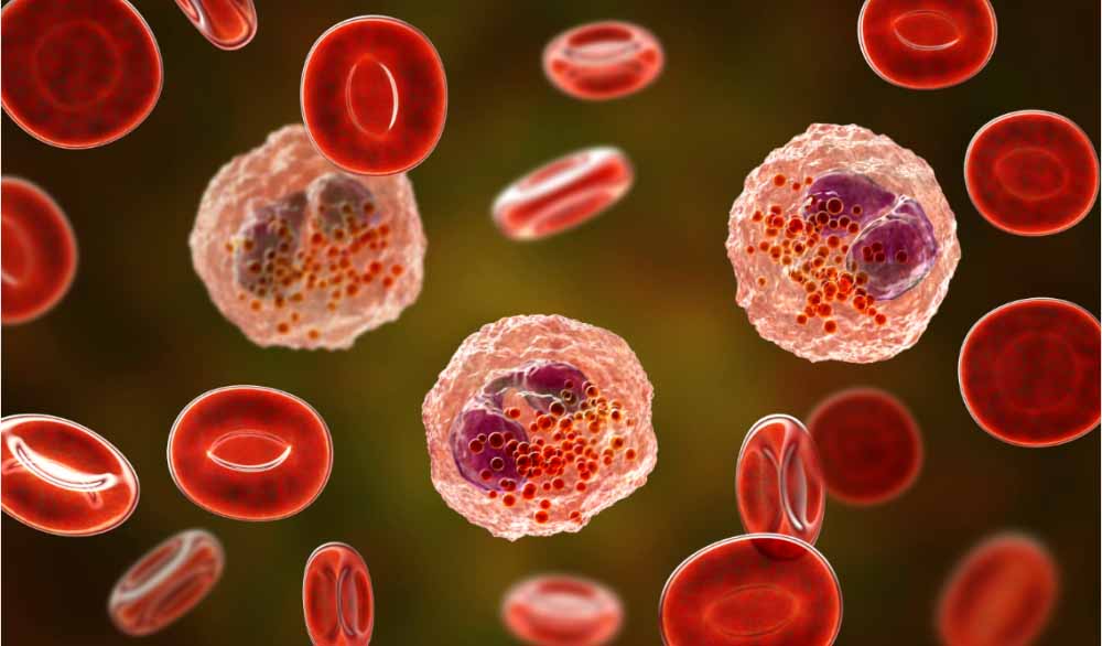 6008集团助力 | 全球首创！宇耀生物STAT3双磷酸化抑制剂YY201获批临床.jpg