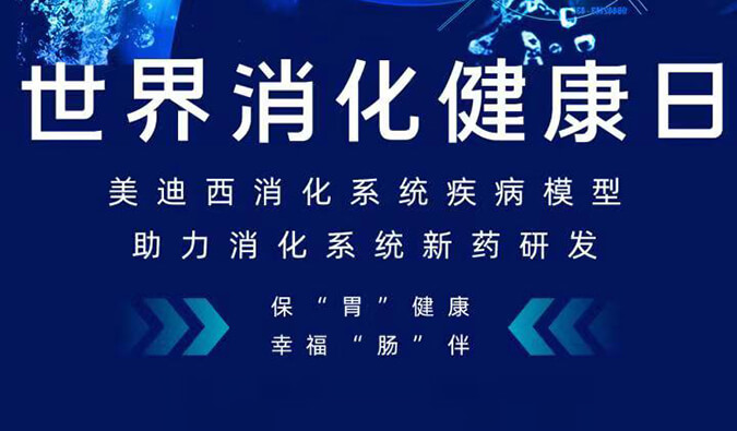 世界肠路健全日