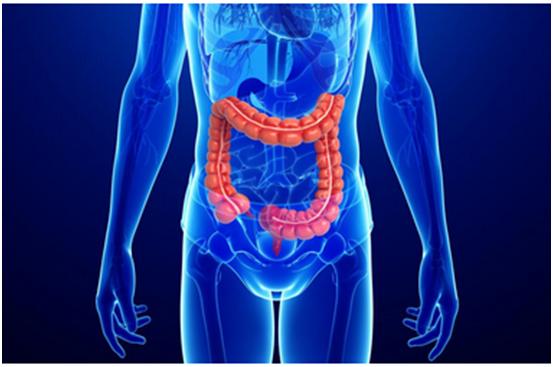 6008集团一站式助力 | 宝太生物首其中美双报立异药获批