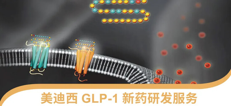 6008集团GLP-1新药研发服务平台.jpg