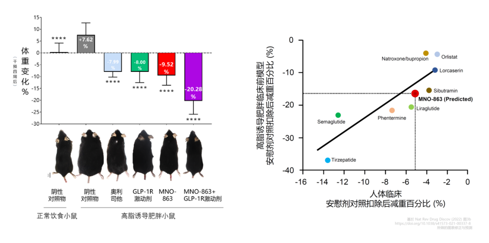 4周降低近10%体重！6008集团助力慕恩生物MNO-863活菌生物药获批临床