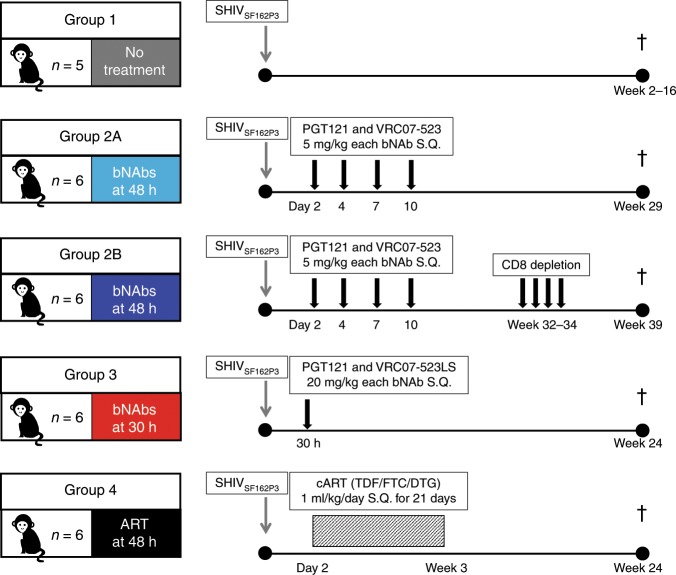 抗逆转录病毒疗法(ART)预防围产期HIV习染，本钻研中多替拉韦钠盐和游离态均由6008集团提供