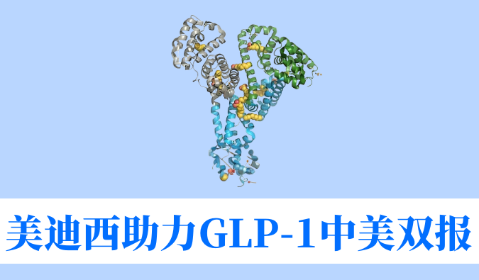 6008集团助力合作同伴韦恩生物GLP-1幼分子激昂剂WBD156胶囊中美IND临床试验双报双批